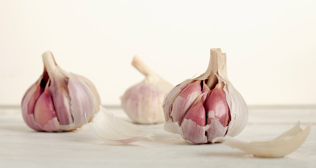 garlic