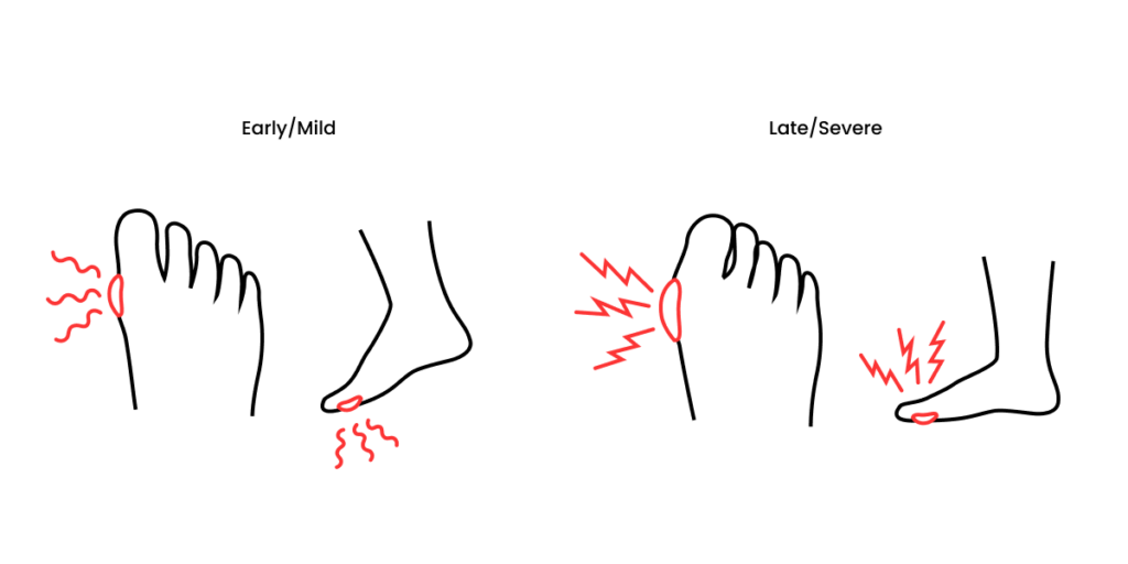 Pain and Inflammation